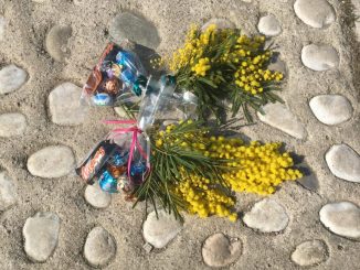 ” ogni volta che una donna lotta per se stessa, lotta per tutte le altre “…Maya Angelou…8 marzo al femminile… Casa Circondariale di Montorio